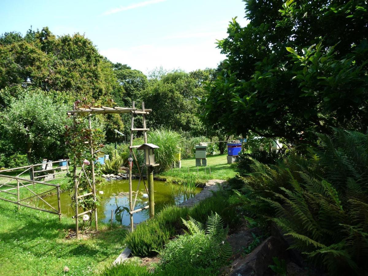 La Miellerie Bed & Breakfast Lannion Exterior foto